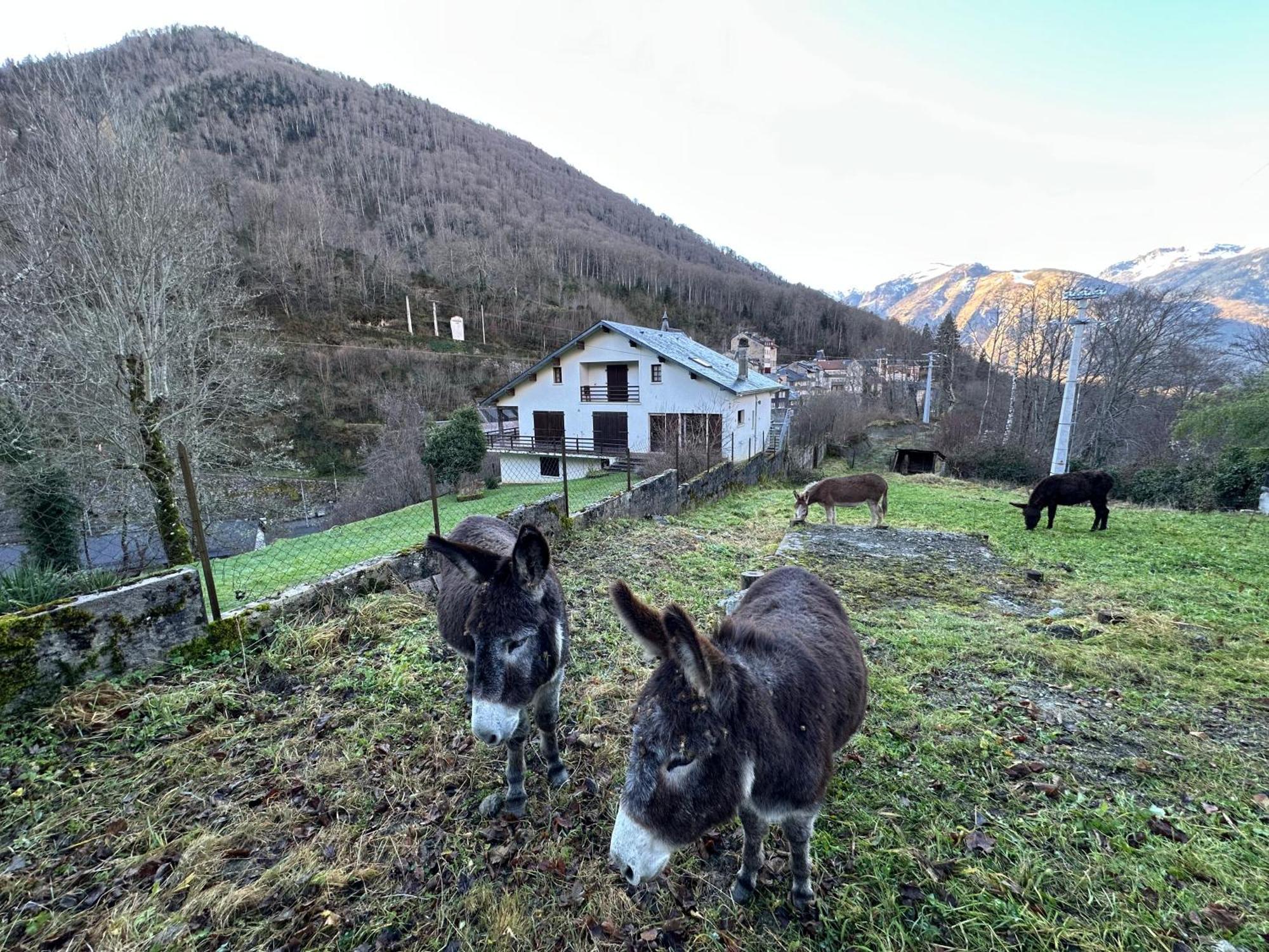 Chalet Artigalas Eaux-Bonnes Kültér fotó